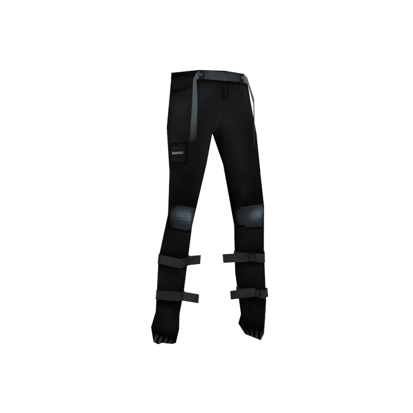 PANTS